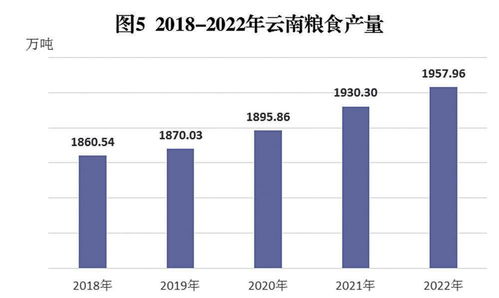 云南省2022年國(guó)民經(jīng)濟(jì)和社會(huì)發(fā)展統(tǒng)計(jì)公報(bào)解讀與咨詢服務(wù)啟示