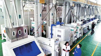 綏化經濟社會發展穩中向好 社會經濟咨詢服務的賦能之路