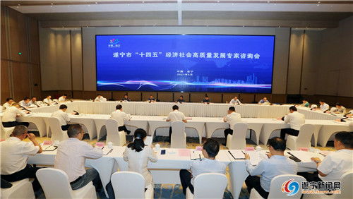 擘畫藍圖聚智慧，精準把脈謀發展——我市成功召開“十四五”經濟社會高質量發展專家咨詢會